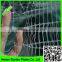 green PE bop bird net,trees cover mesh anti bird netting,square bird trellis mesh made in China