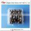 Plastic Blueberry Packaging Container