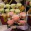 Best Selling facotry price Flower Printer for sale