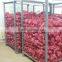 Onion Supplier Best Red Onion Price