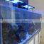 Acrylic Tank for Sea Water