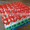 Cheap Plastic Egg Tray For Farm (Superior Quality, China Supplier)
