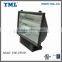 Chinese Induction Lighting Manufacturers 300W Flood Induction Light