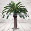 Artificial Cycas Tree