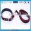 Nylon Doggie puppy cat Dog Leash with collar Set foam pet harness lead