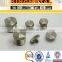F316L Forged Stainless Steel Pipe Fittings Square Head Pipe Plug Cap