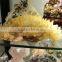 wholesale natural citrine quartz clear crystal cluster