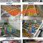 SUS304 stainless steel air bubble fruit washing machine