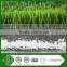 AVG Manufacture ESTO Approval Football Field Good Price Artificial Turf Lawn Cost Effective