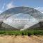 (20 years factory) new arrival, fruit cultivation shade netting 75% / 10175-150