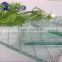 High quality wired glass with factory price clear wired glass decorative wired glass