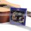 Amola A100 A110 A120 Pure copper Acoustic Guitar Strings For Wooden guitar