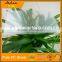low price transparent solar panel