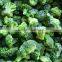 China frozen vegetables supplier the latest iqf broccoli