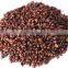 Professional Factory Sale Water Soluble Grape Seed Extract