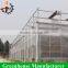 Cheap polycarbonate sheet greenhouse for tomato