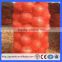 Recyclable Vegetables Use pp mesh bag/Potato onion mesh bag (Guangzhou Factory)