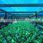 agriculture green house sun shade net