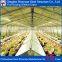 Low Cost Prefab structural steel slaughter poultry room