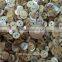 Cheap natural japan akoya shell buttons for shirt cuff
