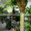 3.5 meter artificial palm tree
