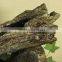 Fallen Log on River Rock Tabletop Fountain With LED Lights