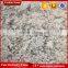 China Bianco antico granite coutertop vanity top