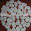 Frozen Shellfish Scallop Roe off Chlemy Nobilis for Sale