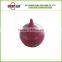 fruit saver onion