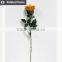Rainbow rose flower Valentine's gift rose flower