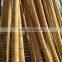 raw moso bamboo poles /canes/sticks
