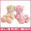 Wholesale Plush CuteColourful Bear Baby Toy