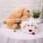 Dog Car Tissue Paper Box Wholesale