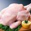Industrial Poultry hair removal machine