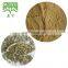 Sales! White Tea extract  powder with Tea Polyphenol 30%~50%