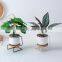 Simple Style Iron Frame S-shape Ceramic Flower Pot Ins Green Plants Succulent Creative Flower Pot With Metal Stand