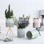 Ceramic Succulent Planter Creative Porcelain Mini small Pink Ceramic Flower Pots With Gold Black Metal Stand