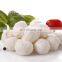 Soft hard Feta Mozzarella Cheddar cheese production line