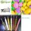 2400pcs/h animal shape ice pop tube for juice/jelly blow molding machine