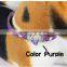 Pet Products Factory Outlet Beautiful Dog Collar