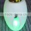 LED LIGHTS & LIGHTING with remote control V016B