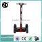 2016 hot sale 15 inch 2 wheel self balance electric scooter with handle bar