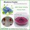 Instant Blueberry Powder Water Soluble Freeze Dried