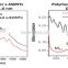 Carbon nanotubes dispersant liquid