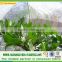 Hot-selling SGS Certificated PP Spunbond Nonwoven Fabric Plant Cover/Tent Agriculture