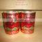 Green Food Canned Tomato Paste/Tomato Paste in Can 400gram
