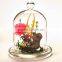 High Clean Glass Decor Dome Cover for Home/office