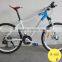 Lionhero Blue&White Aluminum Alloy Mountain Bikes