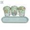 Galvanized zinc 3 flower pots on a saucer in classical rose print