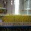 Hydroponics Animal Fodder bean sprout machine/oat sprouting machine/ bean sprout growing machine on sale